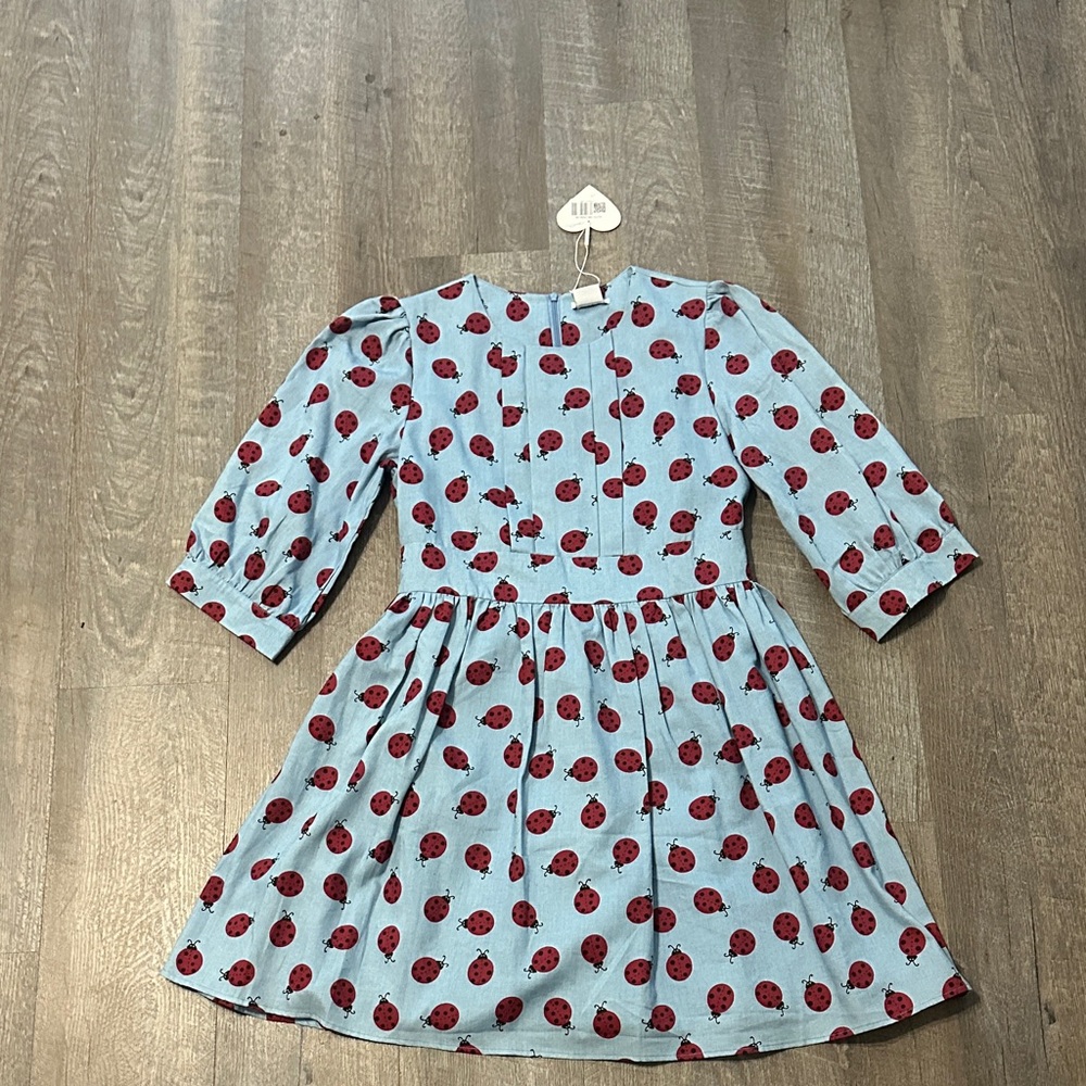Ladybug Print Dress